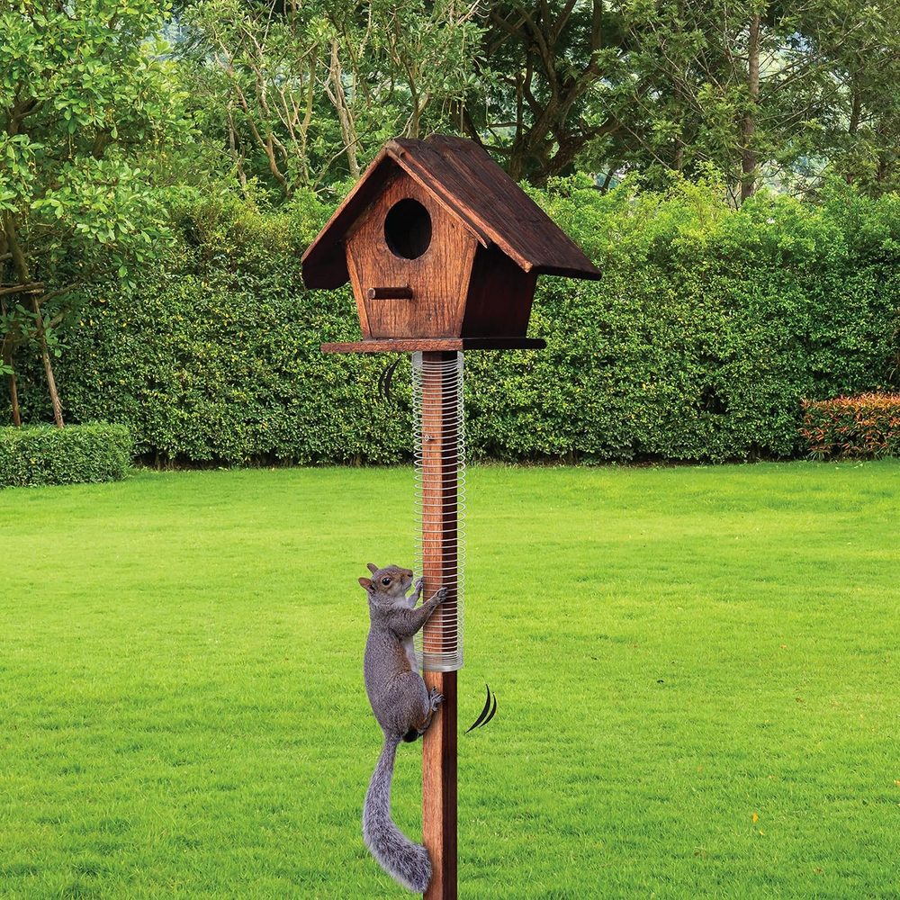 Scram, Squirrel by Slinky — view 3